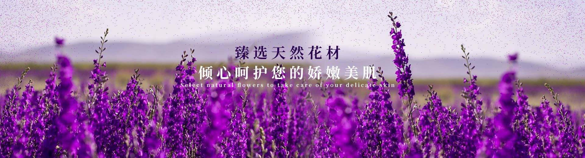 山東天諾工程機械有限公司