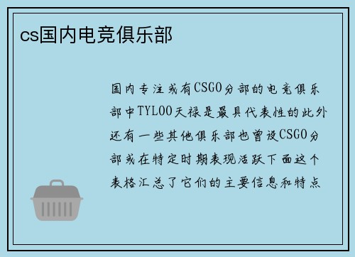 cs国内电竞俱乐部